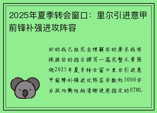 2025年夏季转会窗口：里尔引进意甲前锋补强进攻阵容