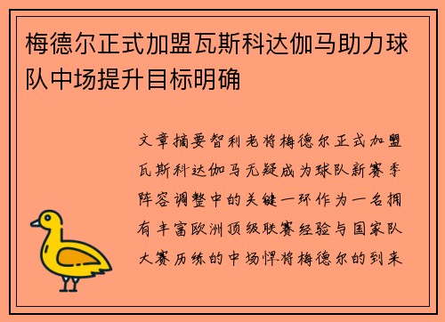 梅德尔正式加盟瓦斯科达伽马助力球队中场提升目标明确 梅德尔正式加盟瓦斯科达伽马助力球队中场提升目标明确