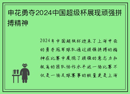 申花勇夺2024中国超级杯展现顽强拼搏精神