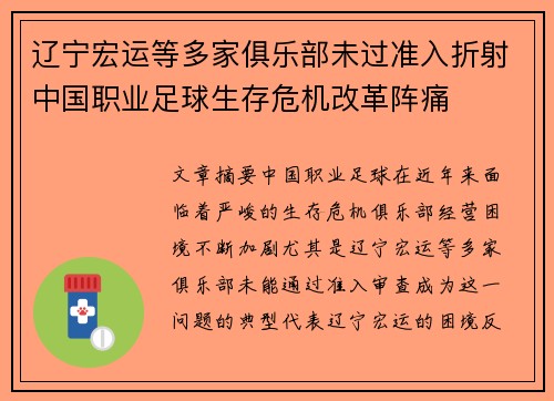 辽宁宏运等多家俱乐部未过准入折射中国职业足球生存危机改革阵痛